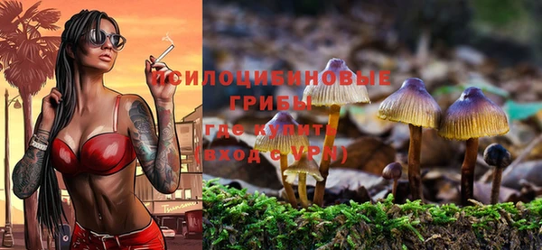бошки Горнозаводск
