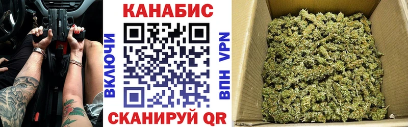 Купить закладки  Сосновка  Конопля LSD WEED 